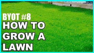 DIY: Yard/Lawn Restoration - BYOT #8
