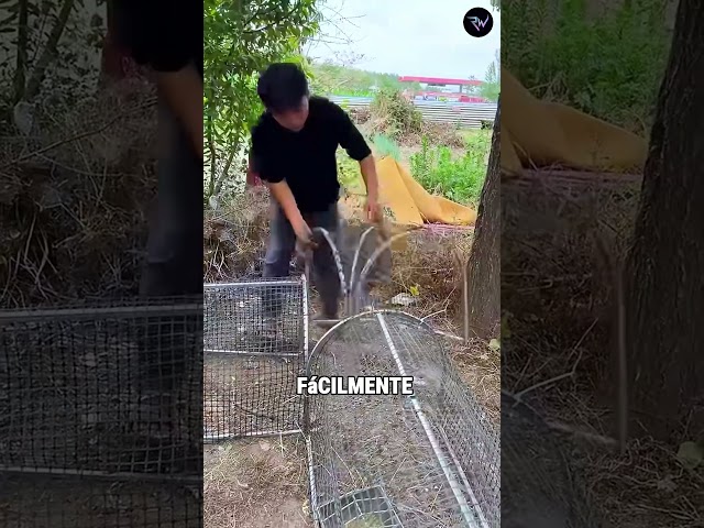 Vídeo relacionado con para pollos, gallinero de metal para exteriores, plegable, largo, instalación rápida, flexible, con jaula de bolas, túneles exteriores para patos, gansos, conejos, granjas, mascotas, pollitos