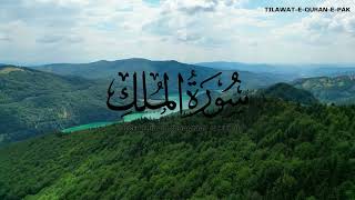Download lagu #surah Al-Mulk by Voice of Raad Muhammad Al Kurdi - Tilawat-E-Quran-E-Pak #quran #tilawat #islam mp3