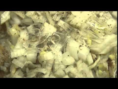 download lagu mp3 mp4 West Indies Salad, download lagu West Indies Salad gratis, unduh video klip West Indies Salad