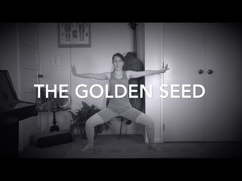 The Golden Seed - Yang Flow