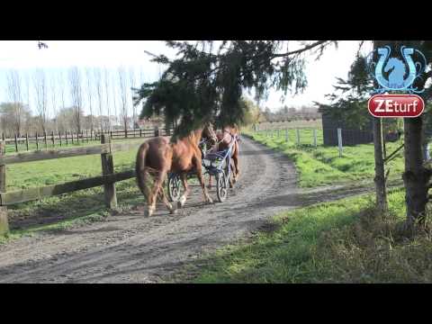 ZAPPING A2TURF Novembre 2014 (Part4) - A2TURF.COM