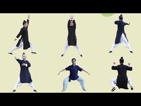 HomeFit Exercise and Detox & Burn at Home