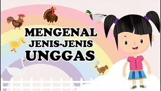 PETUALANGAN SI BUNBUN - Mengenal Jenis-jenis Unggas dalam Bahasa Indonesia