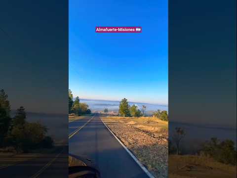 ALMAFUERTE MISIONES 🇦🇷 #viral #shorts #shortsfeed #viralvideo