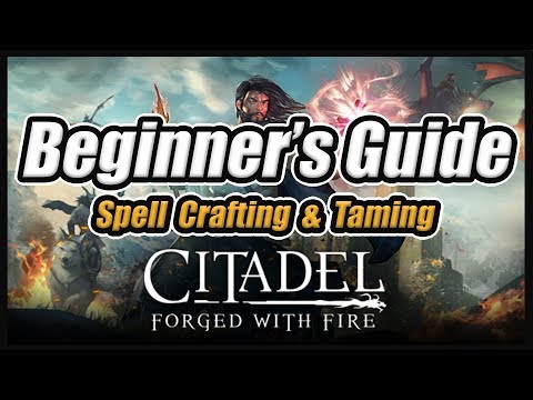 Citadel Reignited Beginner's Guide: Basics, Spell Crafting & Taming