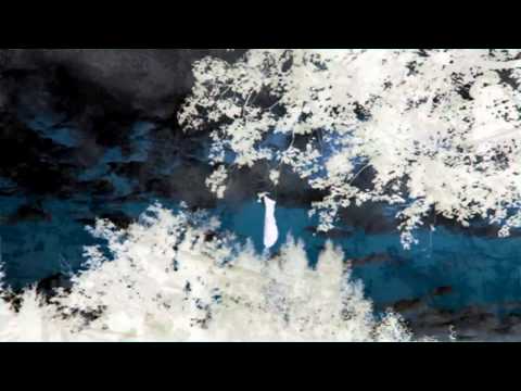 X-NAVI:ET - Neo Primitiv