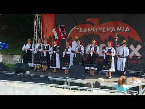 Ansamblul"Cunună de pe Criș" din Tilecus-cântec:Ștergură cu biță aleasă