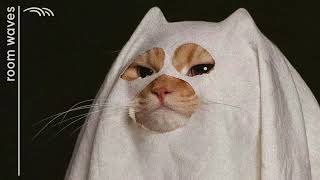 in disguise