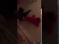 Tickle Me Elmo