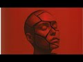 Vibfy - I LOSE