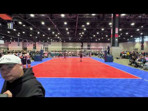 SPVB 15 Alpha V MOD B15 Gold