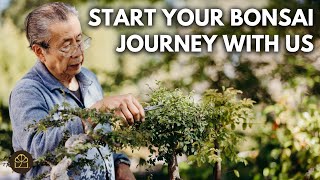 A NEW Free Beginner Bonsai Technique Series - An Introduction