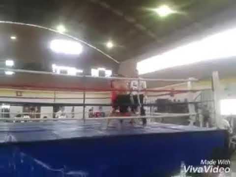 Batalhas De Um Berserker