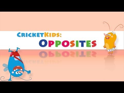 Cricket Kids: Opposites Video