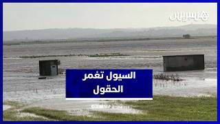 الفيضانات تغمر أراضي فلاحية بجماعة السواكن بإقليم العرائش thumbnail