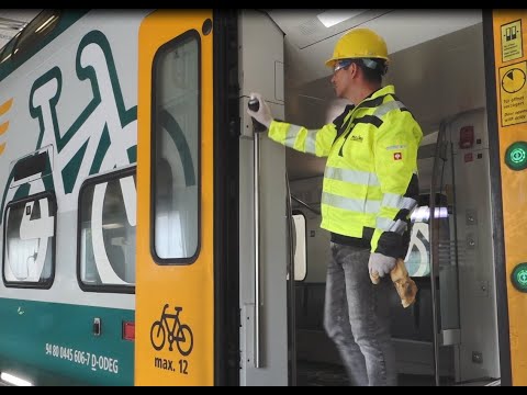 Video: optimal door lubrication with BARRIERTA L 25 DL Spray