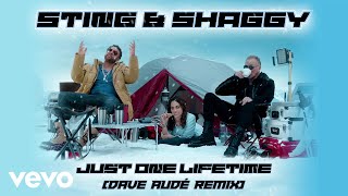 Sting, Shaggy, Dave Audé - Just One Lifetime (Dave Audé Remix/Audio)