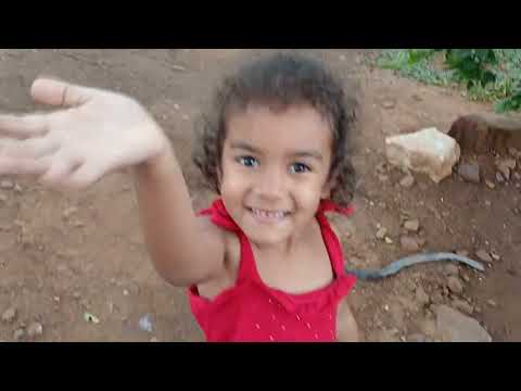 Muita chuva em Pernambuco #chuvas #chuva #pernambuco #santafilomena #meunordeste 