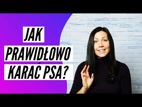 JAK PRAWIDŁOWO KARAĆ PSA? 3 minuty z Projekt Pies