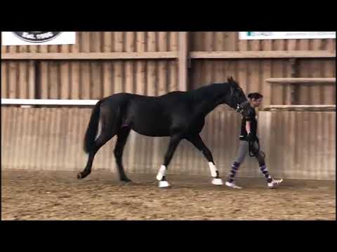 Wallach Fürsten Look