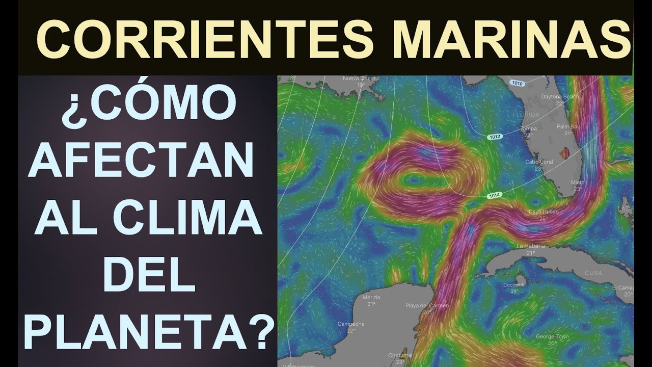 Las corrientes marinas: ¿Cómo afectan al clima del planeta?