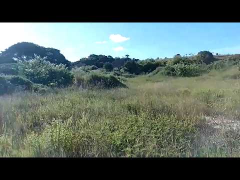 SÍTIO COM 6 HECTARES A VENDA AO LADO DA BR101 GOIANA PERNAMBUCO | ZAP 81984190357