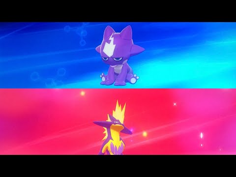 How to evolve Toxel into Toxtricity Amped Form ! Method in description! - Pokemon Sword and Shield