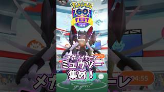 【#ポケモンgo】メガフィナーレでミュウツー集め！ #ポケモン