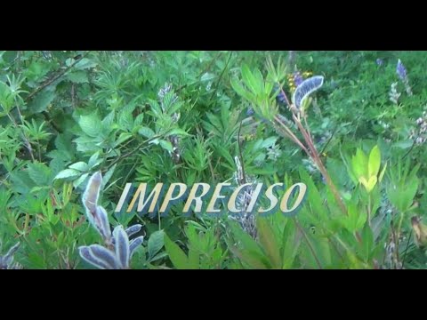 Kastiello ◆ IMPRECISO