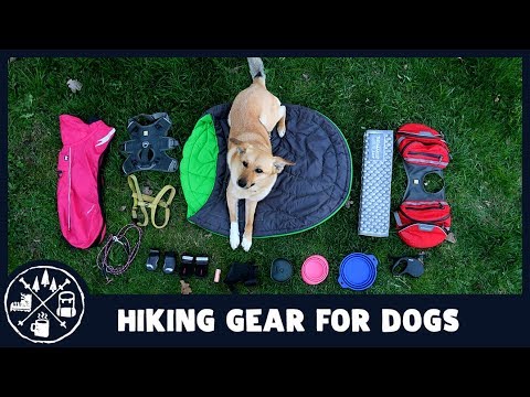 YouTube video about: Does my dog need a sleeping bag?
