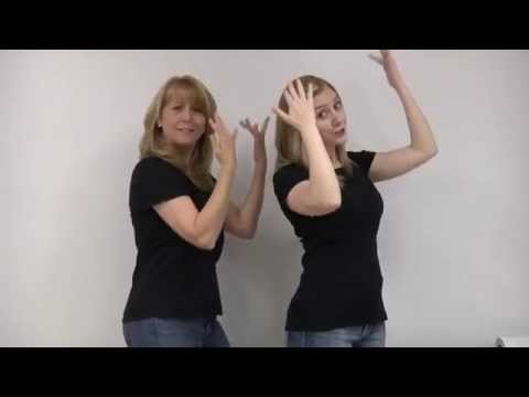 Shake it Off [Interpreter Version]