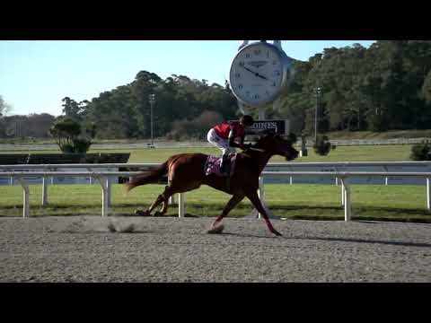 220612 c05 BAJO PALABRA