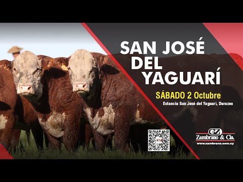 2021-10-02 54º REMATE SAN JOSÉ DEL YAGUARI - ZAMBRANO