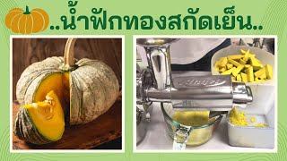 น้ำฟักทองสกัดเย็น เครื่องคั้นแยกกากผักผลไม้ Angel ่Juicer