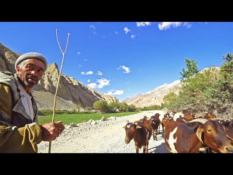 Going Native in the Pamir Mountains 🇹🇯🇦🇫