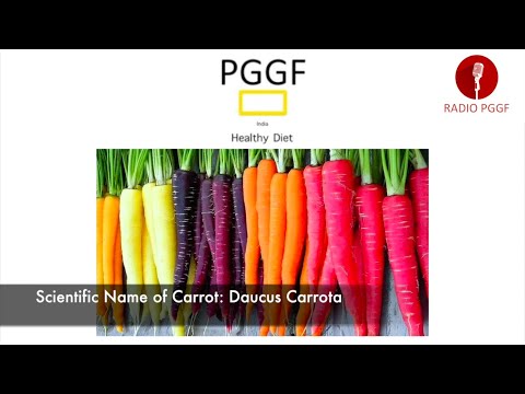 Pandit Gaurav Gautam English Voice Over