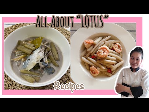 MY INTRODUCTION To Lotus Recipes Authentic to Thailand •EASY & DELICIOUS |ThaiChef Food