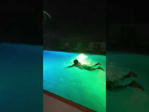 Guess who learned how to swim Properly this year 🤭. #HolidaysWithYouTube #shortsafrica