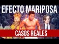 3 Casos Reales Del Efecto Mariposa