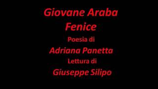Giovane Araba Fenice Adriana Panetta