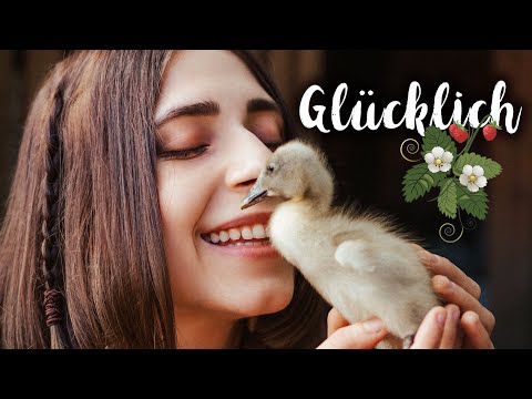 MORGAINE - GLÜCKLICH [Official 4K Video]