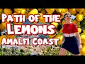 The Path Of The Lemons Discover The Soul Of The Amalfi Coast