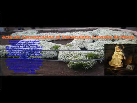 ROSARIO CON EL PAPA JUAN PABLO II MISTERIOS GOZOSOS