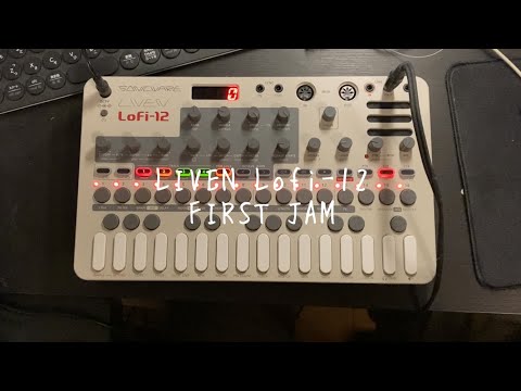 Sonicware Liven Lofi-12 27-Key Sampling Groovebox 2023 - Present - Silver imagen 2