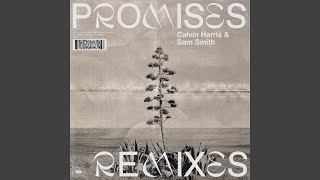 Promises (David Guetta Remix)