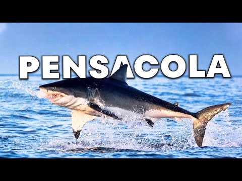 Top 10 Best Things to Do in Pensacola, Florida [Pensacola Travel Guide 2023]