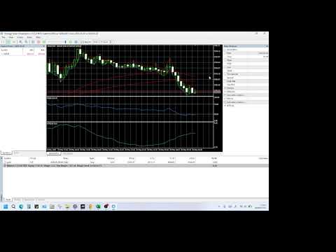 Video GOLD M15 Stable EA ENG