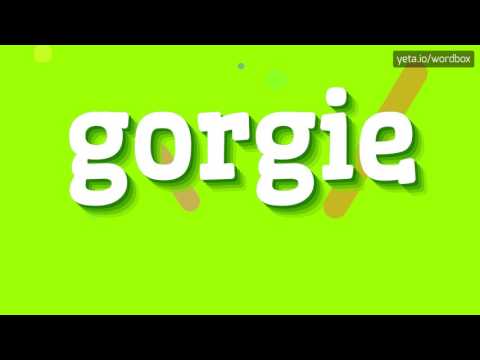 GORGIE - HOW TO PRONOUNCE IT!?
