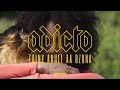 y2mate com tainy anuel aa ozuna adicto official video 58u zkDLNPg 360p y2mate com tainy anuel aa ozuna adicto official video 58u zkDLNPg 360p